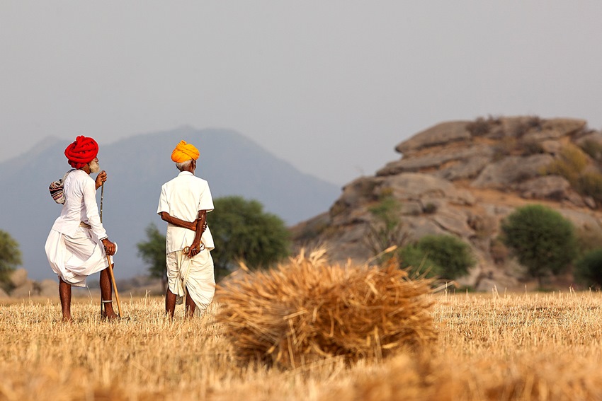 Jawai Bandh, Rajasthan, North India (2).jpg