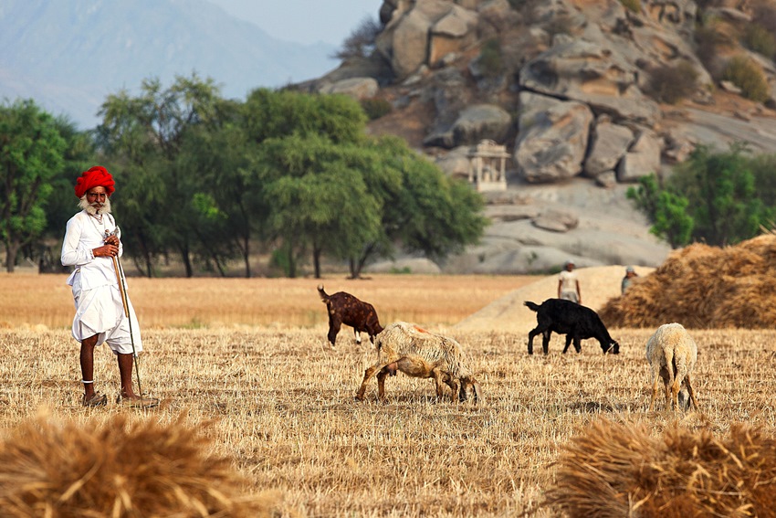 Jawai Bandh, Rajasthan, North India (5).jpg
