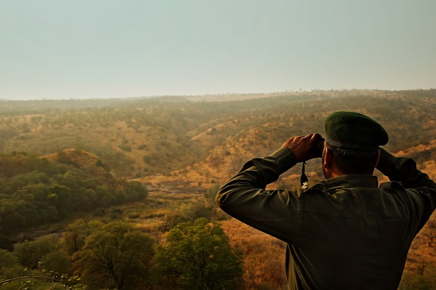 Ranthambore, Rajasthan, North India (3).jpg