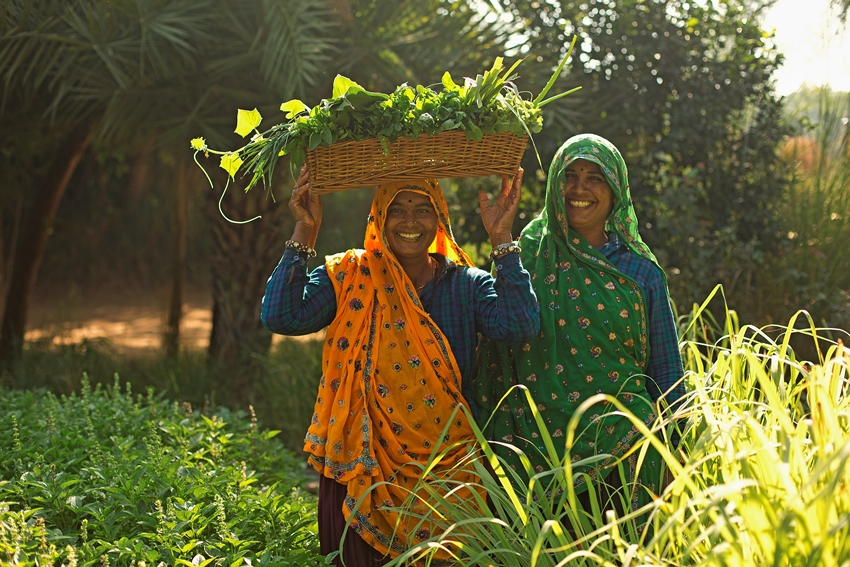 Ranthambore, Rajasthan, North India (7).jpg