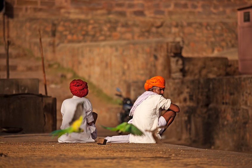 Ranthambore, Rajasthan, North India (10).jpg