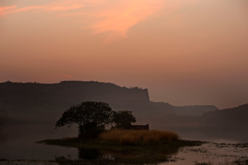 Ranthambore, Rajasthan, North India (11).jpg