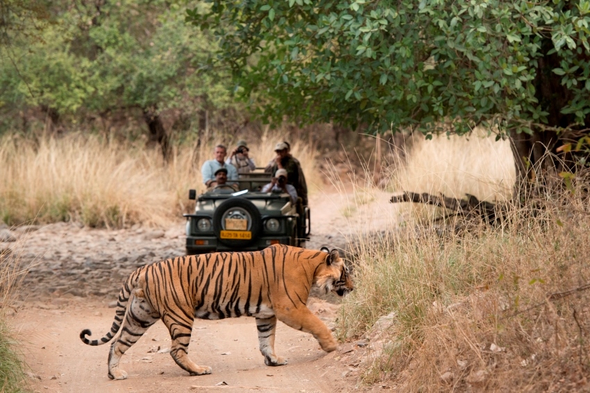 Sujan Sher Bagh, Ranthambore, North India (9).jpg