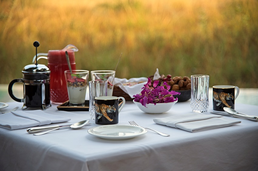 Sujan Sher Bagh, Ranthambore, North India (4).jpg