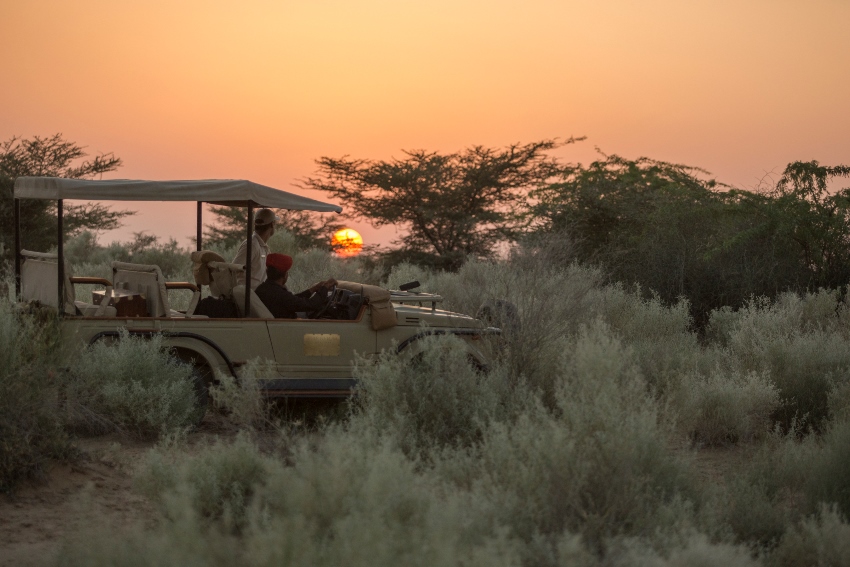 Sujan The Serai, Jaisalmer, North India (3).jpg