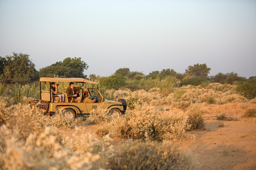 Sujan The Serai, Jaisalmer, North India (12).jpg