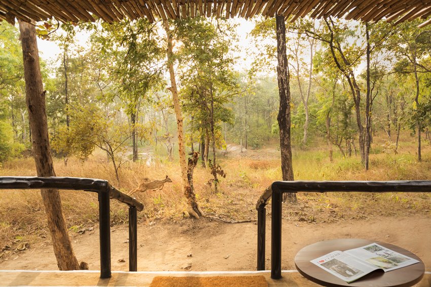 Reni Pani, Satpura, North India (4).jpg