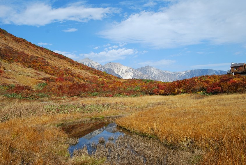 Hakuba, Nagano, Japan (9).jpg