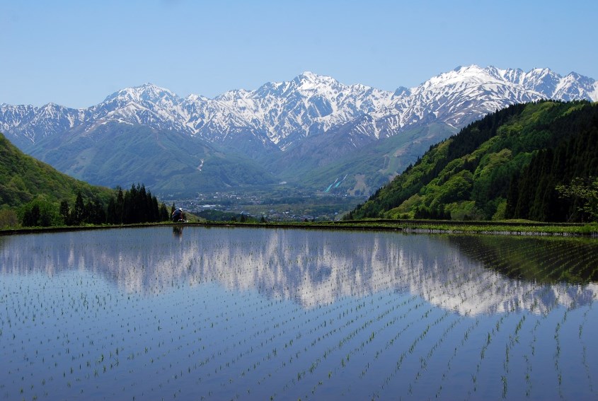 Hakuba, Nagano, Japan (5).jpg