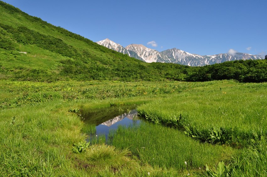 Hakuba, Nagano, Japan (8).jpg