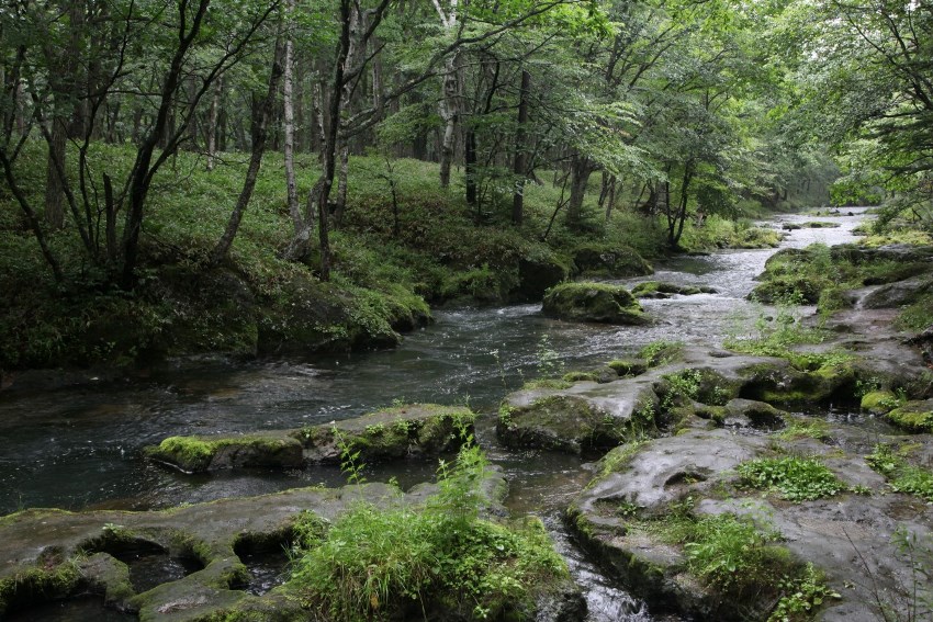 Nikko, Japan (7).jpg