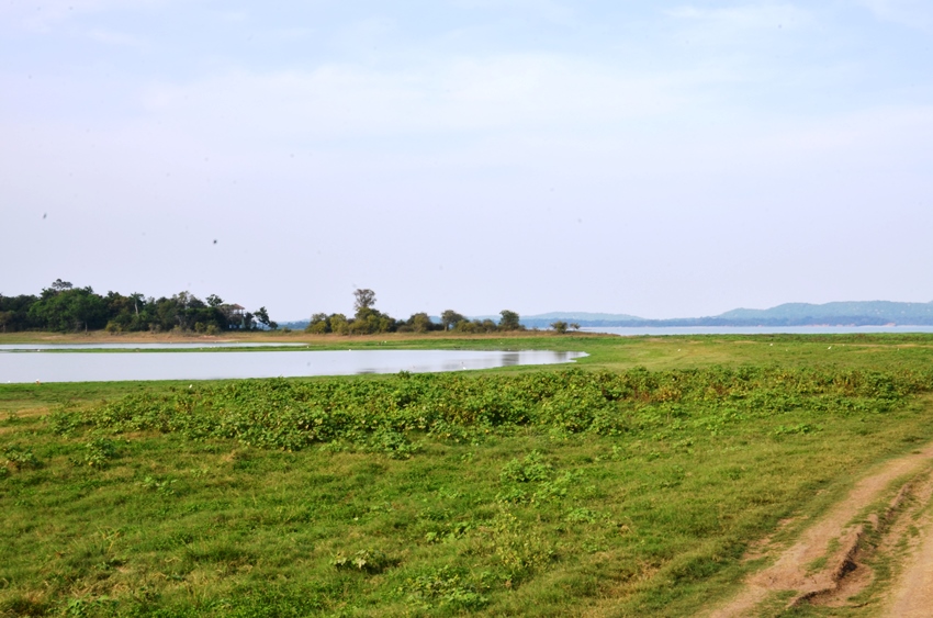 Minneriya National Park, Sri Lanka (5).JPG