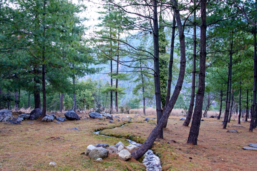 Amankora, Paro, Bhutan (15).jpg