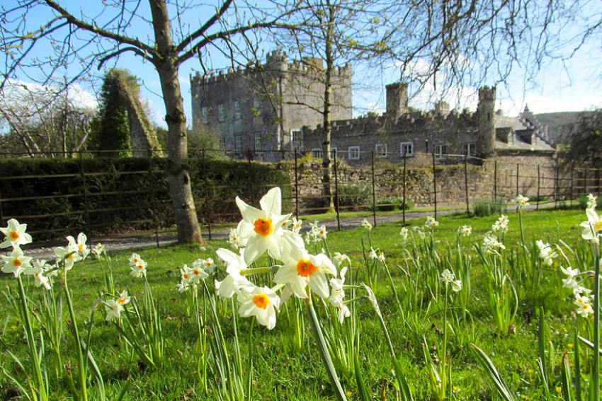 Huntington Castle, Ireland (8).jpg