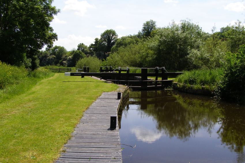 County Carlow, Ireland (1).jpg