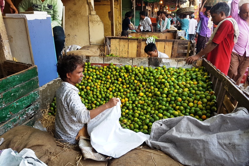 Mumbai, North India (3).jpg
