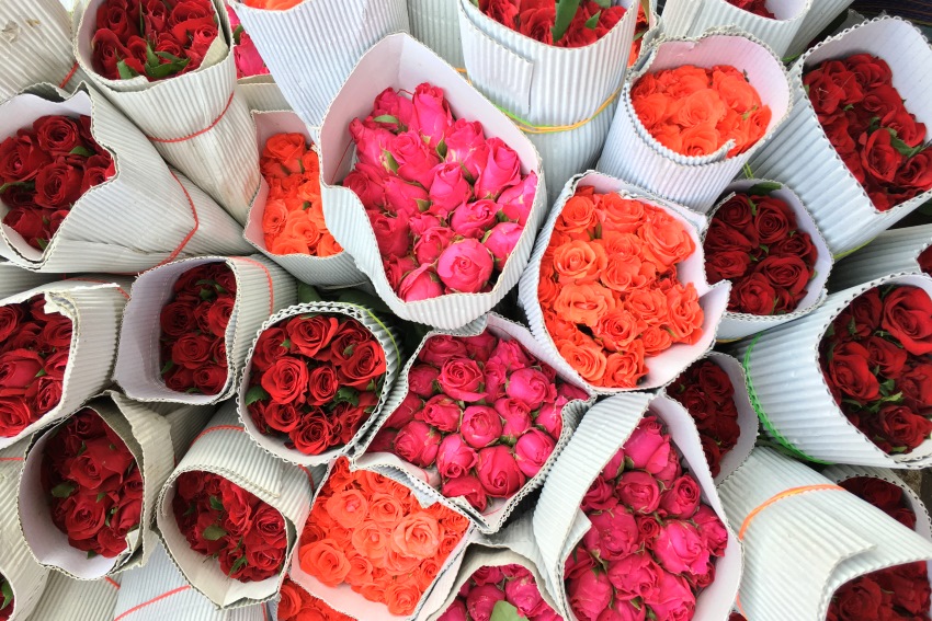 Mumbai, North India (6).JPG