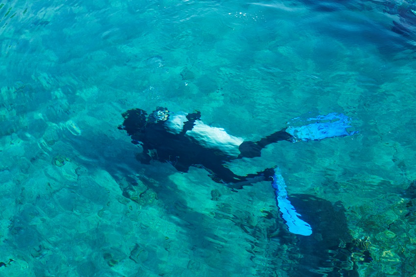 Amanwana, Moyo Island, Indonesia (6).jpg