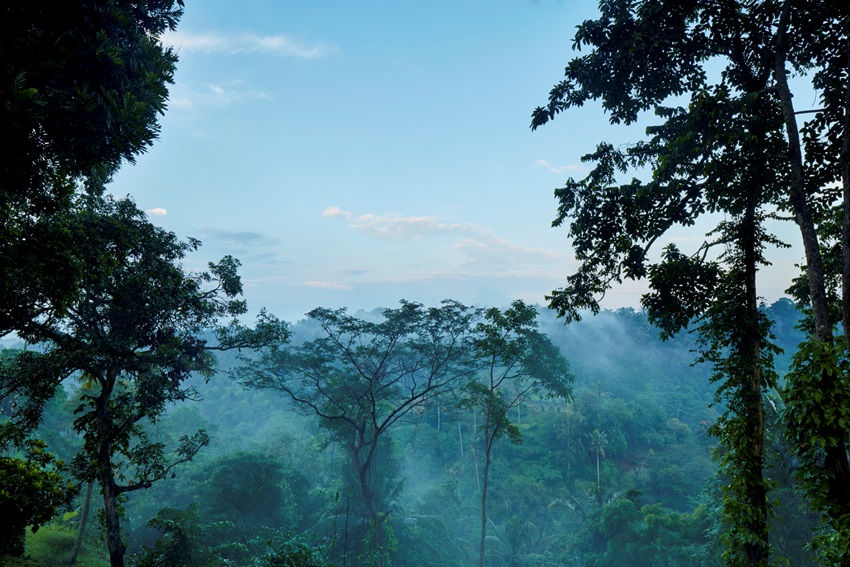 Amandari, Bali, Indonesia (17).jpg