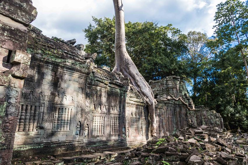 Siem Reap, Cambodia (6).jpg