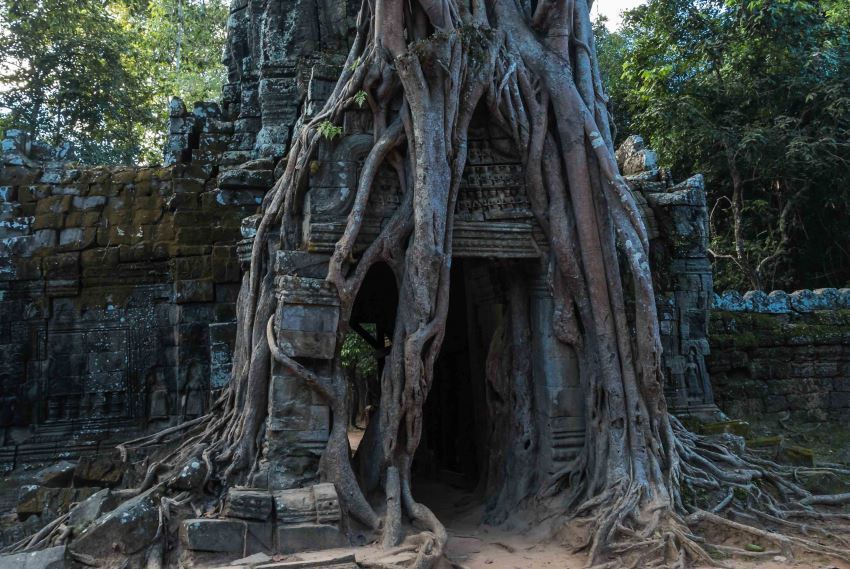 Siem Reap, Cambodia (13).jpg