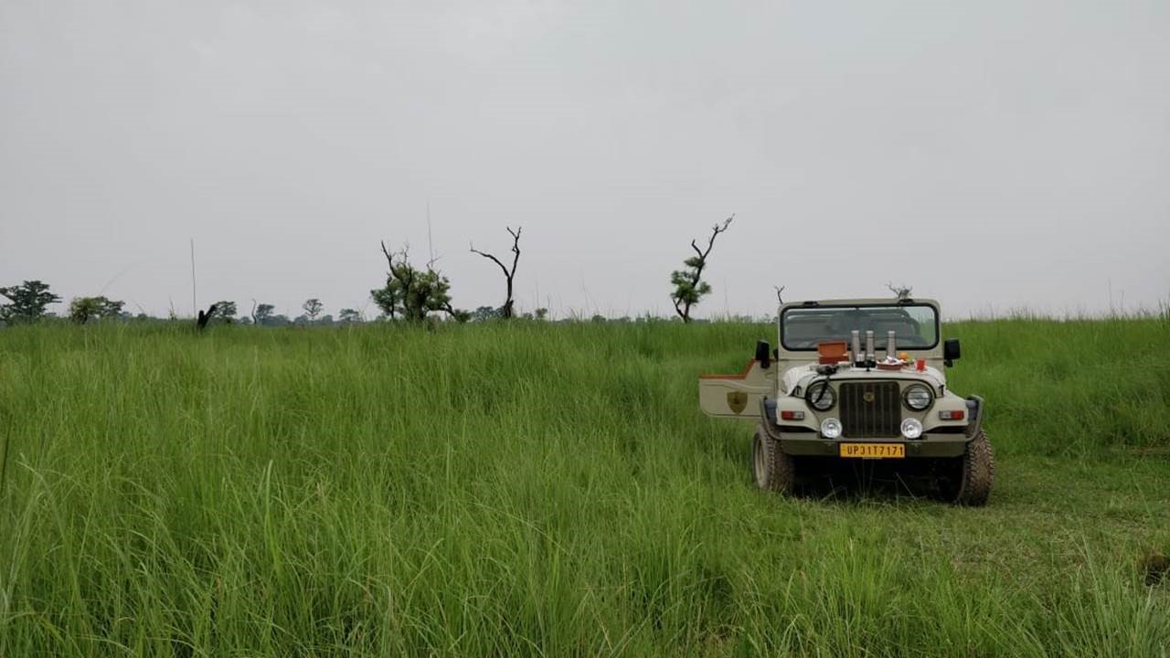 Jaagir Lodge, Dudhwa, North India (13).jpg
