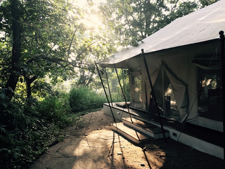 Jamtara Wilderness Camp, Pench National Park, North India (25).jpg