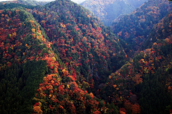 Sasayuri-ann (12).jpg