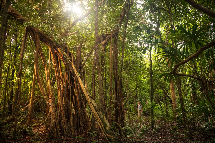 Wa Ale, Mergui Archipelago, Burma (26).jpg