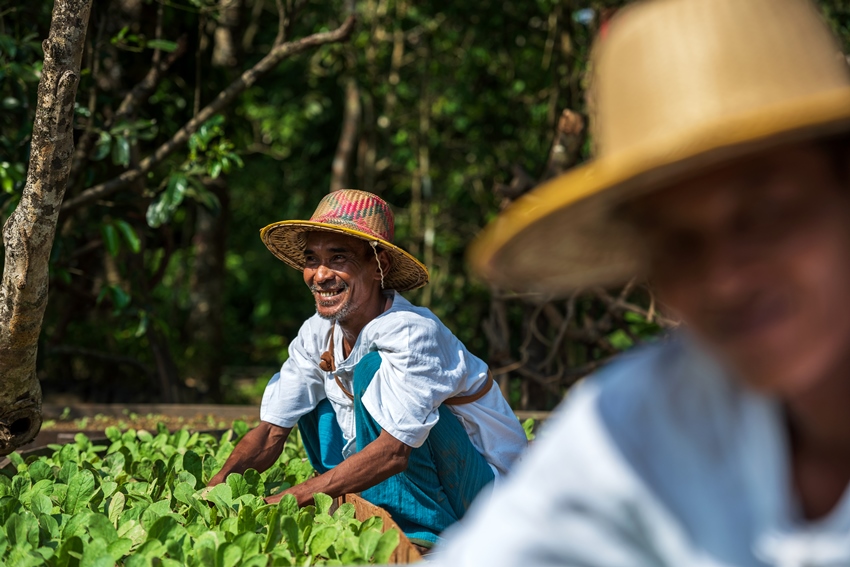 Wa Ale, Mergui Archipelago, Burma (36).jpg