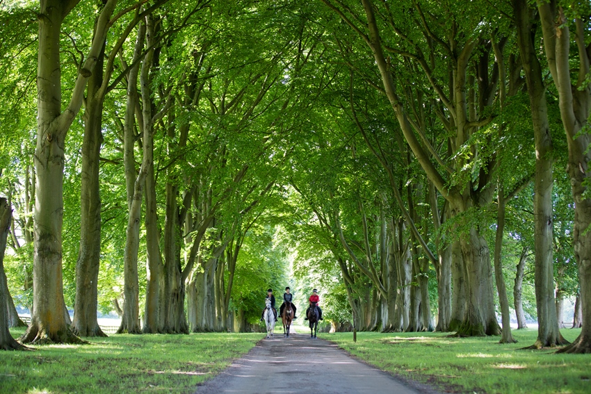 Lucknam Park, Bath, UK (4).jpg