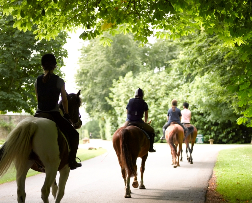 Lucknam Park, Bath, UK (12).JPG