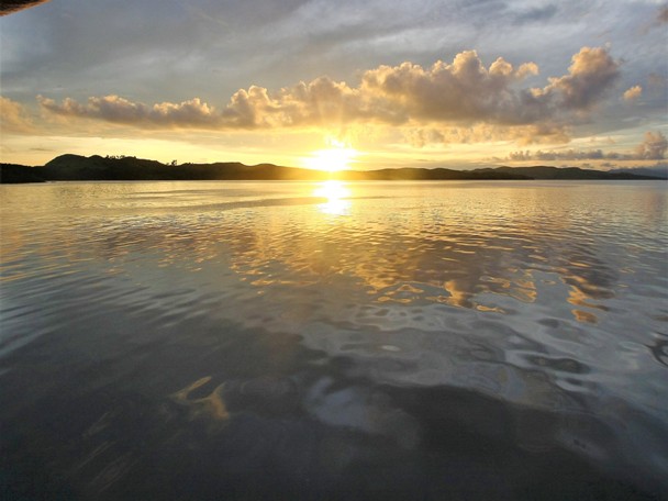 Komodo Island update (3).jpg