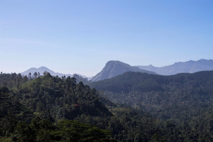 Nine Skies, Sri Lanka (4).jpeg