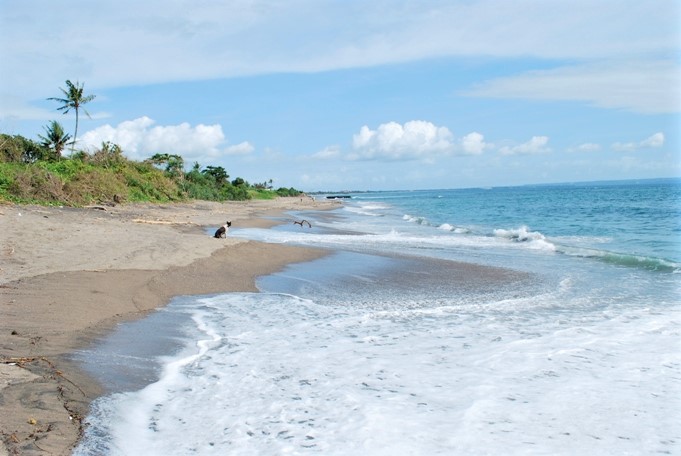 Canggu, Indonesia (1).jpg