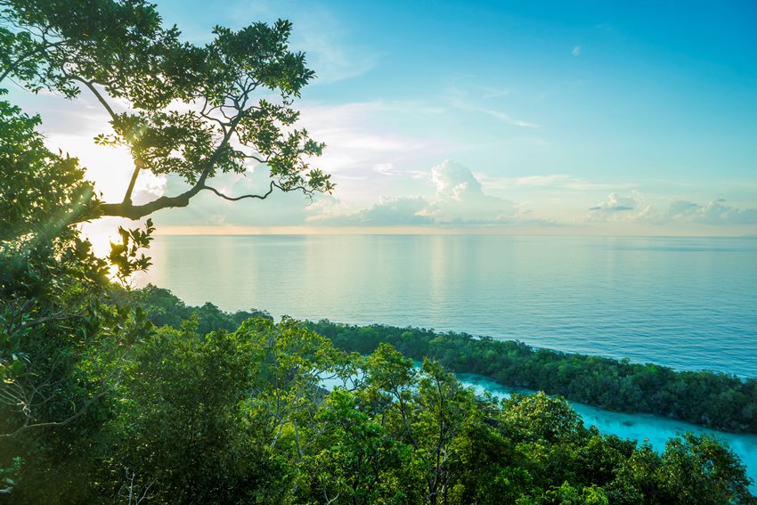 Bawah Reserve, Anambas Islands, Indonesia (3).jpg