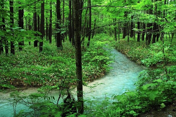 Kamikochi Japan 5.jpg