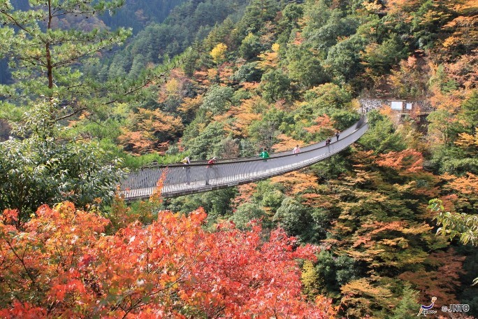 Kumamoto Japan (1).jpg