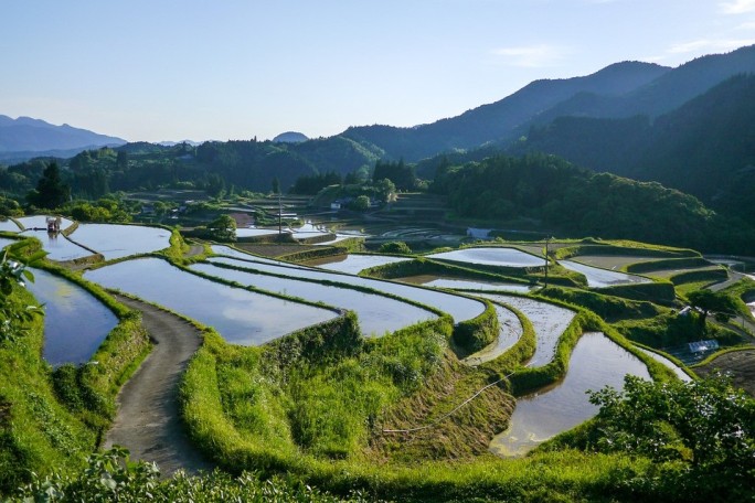 Kumamoto Japan (4).jpg