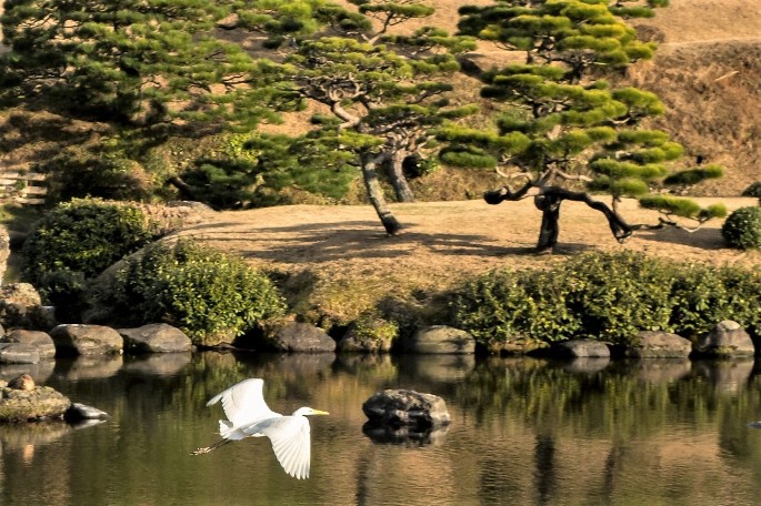 Kumamoto Japan (5).jpg