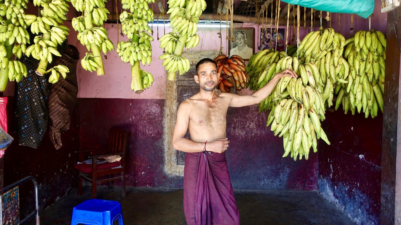 India Sept 2018 - Whittle (4).jpg (1)