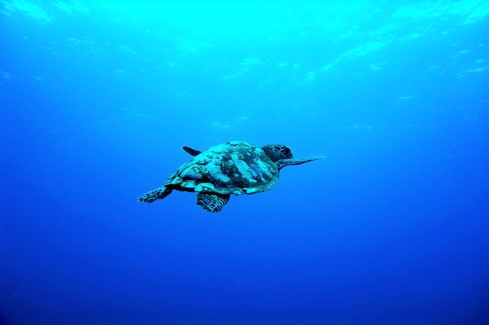 Gili Islands (2).jpg