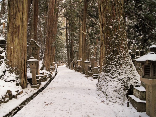 MountKoya (13).jpg