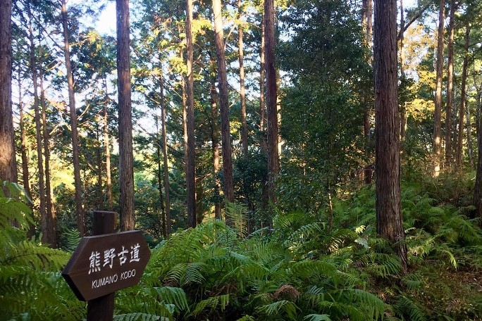 Kumano Kodo Hongu (6).jpg