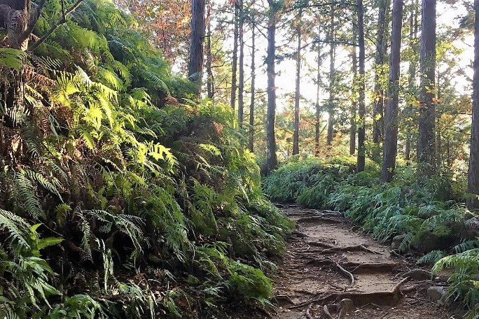 Kumano Kodo Hongu (7).jpg