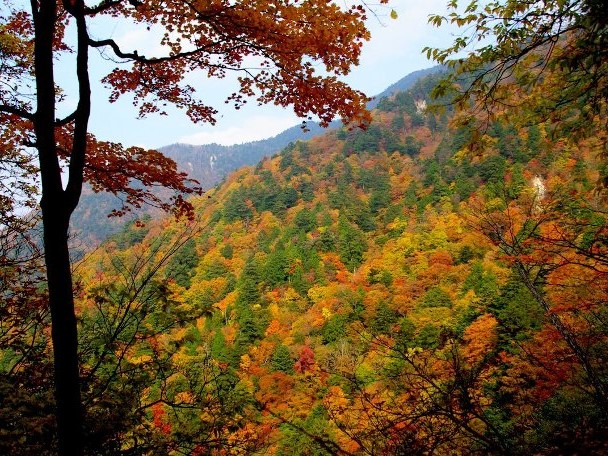 Takimi Onsen (7).jpg