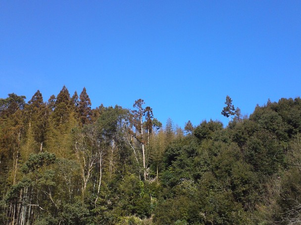 Blue Sky Guesthouse (3) - Copy.jpg