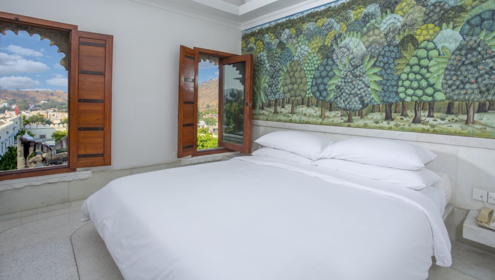 Raas Devigarh, Delwara, North India (35).jpg