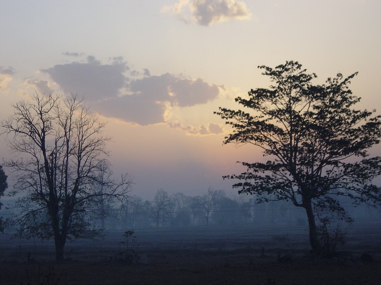 Ranakpur, Rajasthan, North India (2).JPG