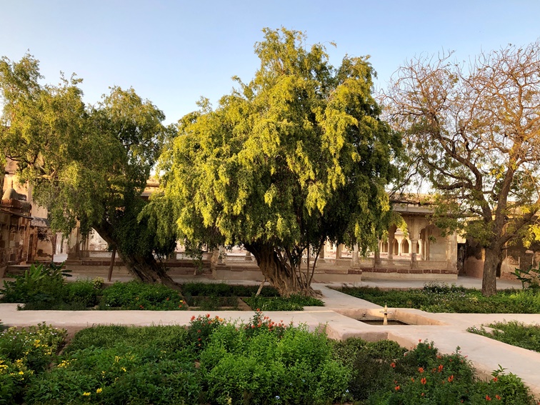 Nagaur, Rajasthan, North India (6).JPG